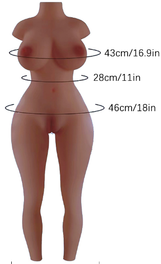 Realistic TPE Sex Doll Torso - YL-63M